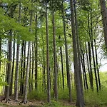 Harzquartier * Friedrichsbrunn