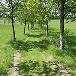 Harzquartier Apartment