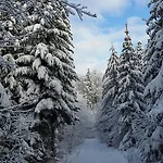 Harzquartier Apartment Friedrichsbrunn