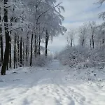 Harzquartier * Friedrichsbrunn