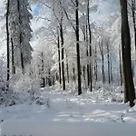 Harzquartier * Friedrichsbrunn