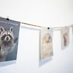 Harzquartier Apartment *