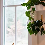 Apartment Harzquartier Friedrichsbrunn