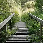 Harzquartier * Friedrichsbrunn