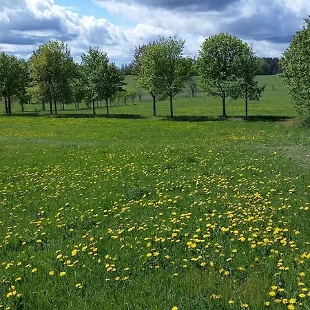 Lejlighed Harzquartier