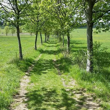 Harzquartier Lejlighed