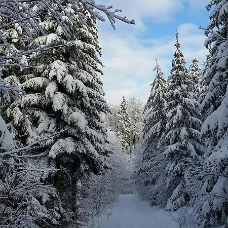 Harzquartier Lejlighed Friedrichsbrunn
