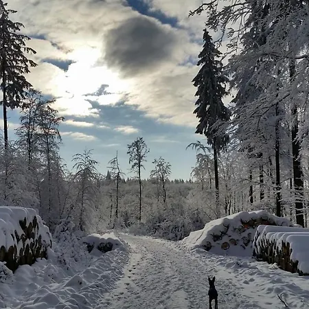 Lejlighed Harzquartier Friedrichsbrunn
