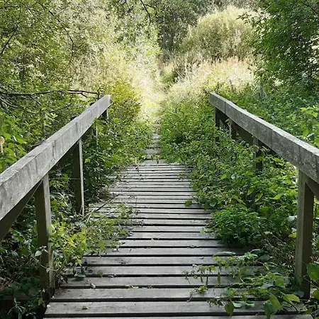 Harzquartier * Friedrichsbrunn