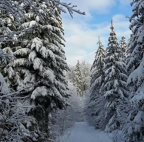 Harzquartier Apartamento Friedrichsbrunn