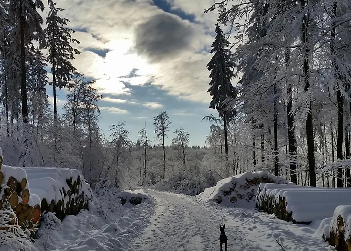 Apartamento Harzquartier Friedrichsbrunn