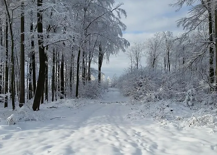 Harzquartier * フリードリッヒシュブルン