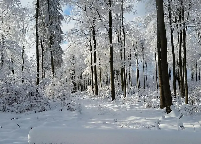 Harzquartier * Friedrichsbrunn