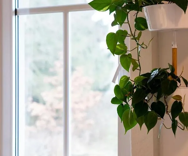 アパート Harzquartier フリードリッヒシュブルン