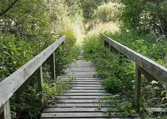 Harzquartier * フリードリッヒシュブルン